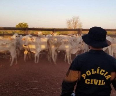 Fazendeiro de Três Lagoas é preso por receptação animal e abigeato
