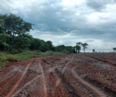 Desmatamento ilegal gera multa de mais de R$ 30 mil a fazendeira de Três Lagoas 