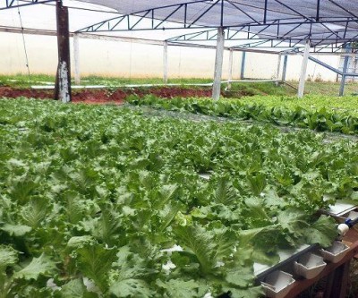 Presídio de Três Lagoas garante indicação ao Prêmio Innovare