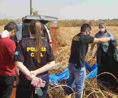 Moradora de Dourados é encontrada morta em canavial
