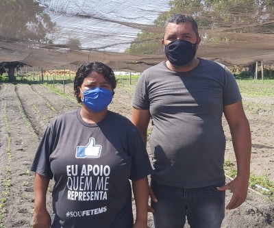 Com fome, capivaras invadem hortas de Três Lagoas