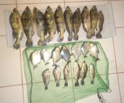PMA de Três Lagoas autua paulista por pesca ilegal e faz apreensões de barco e petrechos