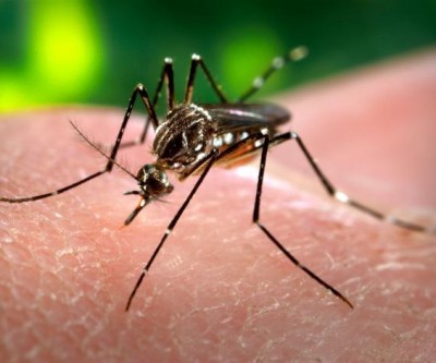 Três Lagoas tem 12 casos suspeitos de dengue nesta semana