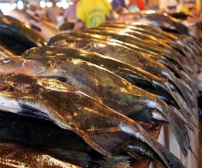 Inscrições para 7ª Feira do Peixe começam segunda-feira (04)