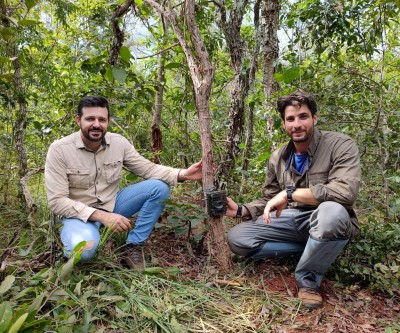 Meio Ambiente e Instituto ICAS divulgam os primeiros resultados do monitoramento de fauna no Parque do Pombo