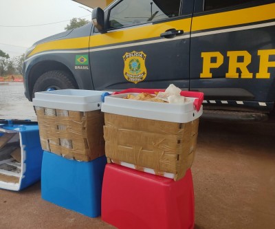 Menor é apreendido com tabletes de maconha pela PRF