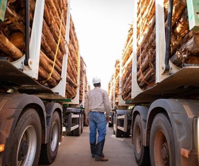 Eldorado Brasil está contratando motoristas tritrem
