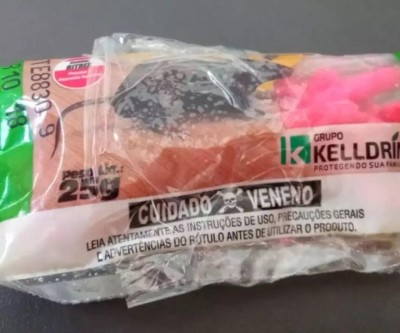 Em Bonito, homem que matou cães com salsicha envenenada é indiciado por maus tratos