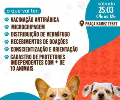 Prefeitura e Protetoras TL promovem ação gratuita para pets neste sábado, na Praça Ramez Tebet