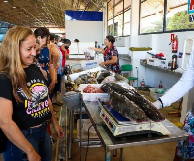Inscrição para 8ª Feira do Peixe começa nesta quarta-feira