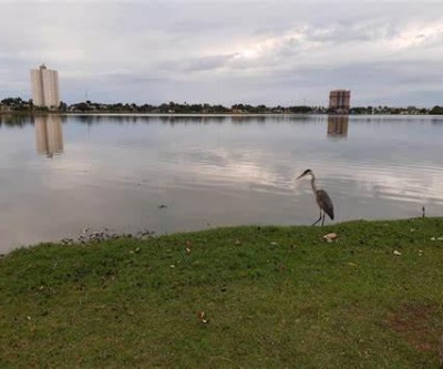 Semana começa com friozinho, mas máxima deve chegar aos 30ºC em Três Lagoas