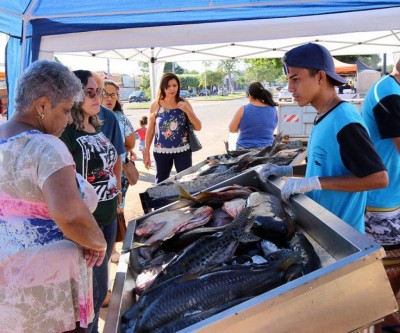 Vem pra Feira – 9º Feira do Peixe começa nessa quinta-feira 28 de março