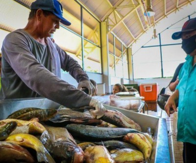 Inscrições para a 9ª Feira do Peixe começam segunda-feira (11)