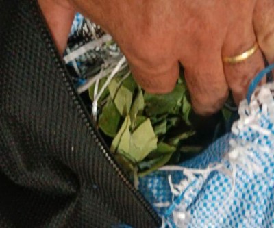 Passageira é presa no Posto Fiscal de Jupiá transportando folhas de coca em malas