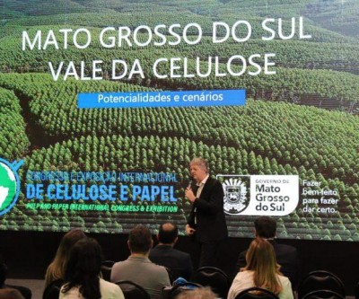 Área plantada de florestas em MS é a que mais cresce no país