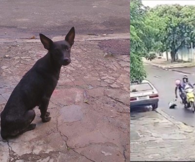 Abandono gravado termina em prisão e multa no interior de MS