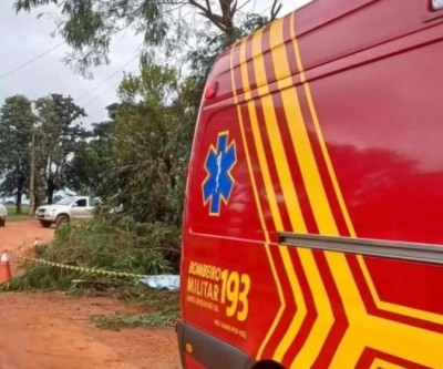 Homem morre eletrocutado ao cortar árvore em Ivinhema-MS