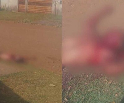 Homem é assassinado no Nova Campo Grande 