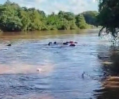 Caminhonete cai de balsa e motorista desaparece no Rio Apa em MS