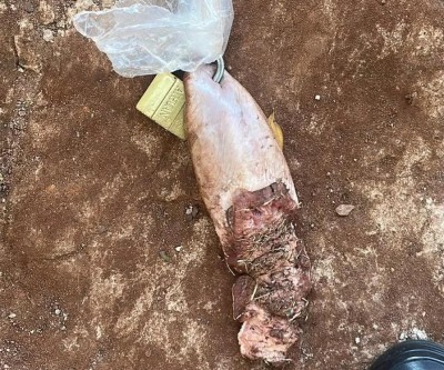 Jovem recebe língua de vaca com cadeado em frente de casa no Paraguai 