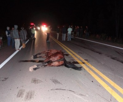 Condutor de cavalo morre na BR-158 após se envolver em acidente com carro