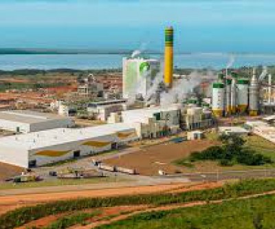 Maior empresa de celulose do Brasil abre vagas de trabalho