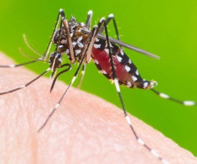 Unidades de Saúde abrirão em horário especial para atender casos suspeitos de dengue