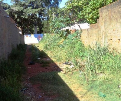 Donos de terrenos baldios serão notificados na próxima semana