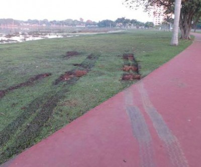 Jornalista denuncia descaso na Lagoa Maior de Três Lagoas 