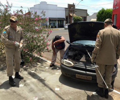 Cobra aparece em carro e assusta comerciantes da área central de Três Lagoas 