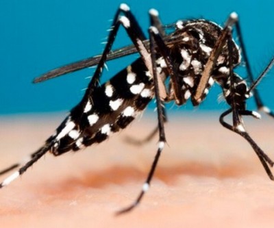 Vigilância divulga boletim de monitoramento de casos de Dengue