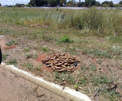 Funcionária registra boletim de ocorrência após descarte de alimentos próximo ao aeroporto