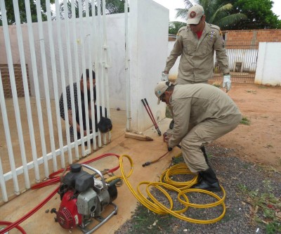 Desencarcerador hidráulico é usado para resgatar Poodle preso em portão 