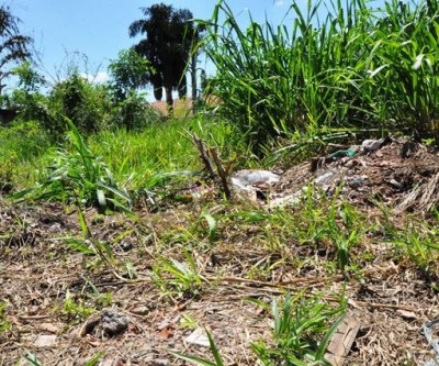 Donos de terrenos baldios começam a ser notificados em Três Lagoas