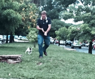Boa ação em resgate de cachorro gera admiração no Centro da cidade 