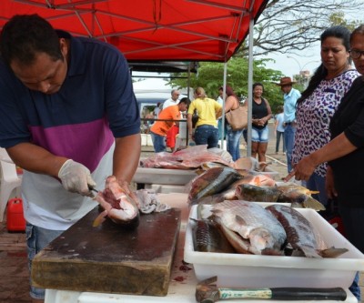 4ª Feira do Peixe acontece nesta quinta-feira em Três Lagoas