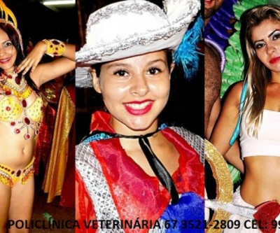 Confira as fotos do Desfile das Escolas de Samba de Três Lagoas