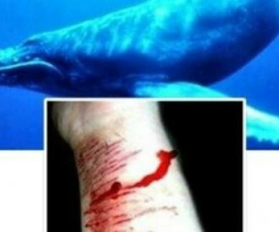 Aviso de envenenamento em desafio do ‘Baleia Azul’ deixa escolas em alerta