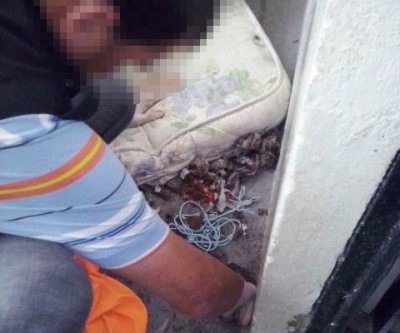 “Pente Fino” no presídio masculino apreendeu chips telefônicos e aparelhos celulares