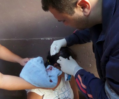 Criança joga facão para o alto e acerta a cabeça da vizinha no Alto da Boa Vista