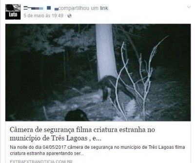 Nova pegadinha sobre criatura estranha em Três Lagoas volta a movimentar as redes sociais