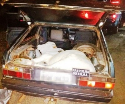 Bezerro furtado é encontrado vivo e sedado em porta-malas de carro