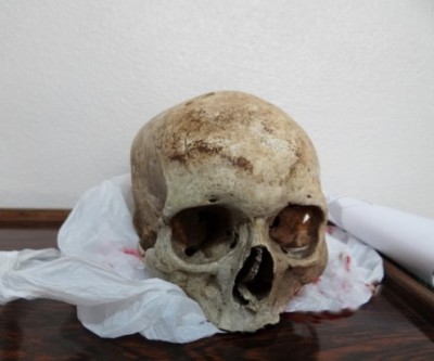 Crânio humano é encontrado em plantação de mandioca e polícia apura o caso