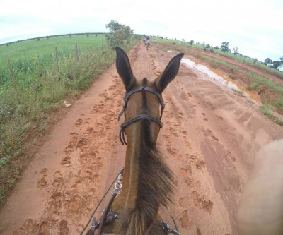 Em meio a tantos eucaliptos na região, família OT mantém tradição e faz homenagem em cavalgada 