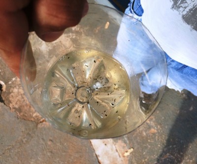 Bueiros viram criadouros de mosquitos da dengue em Três Lagoas 