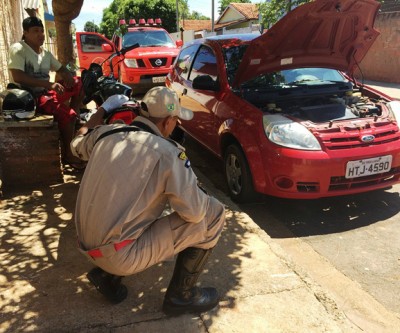 Cobra é capturada dentro de veículo no bairro São João 