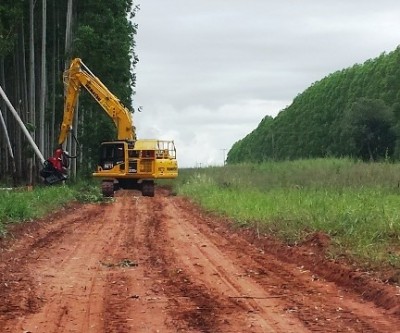 Máquinas de colheita florestal reduzem custos e aumentam a competitividade
