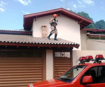 Moradora aciona Corpo de Bombeiros para resgatar gato que estava em telhado de residência 