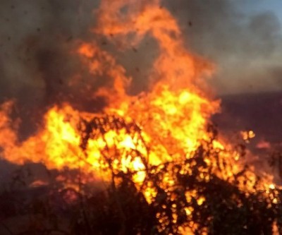 Bombeiros combatem mais um incêndio no “buracão” da Vila Piloto