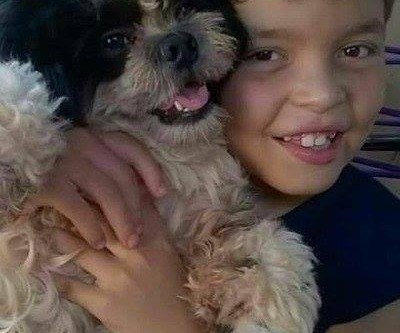 Criança sofre com o desaparecimento de seu cachorrinho de estimação há quatro dias